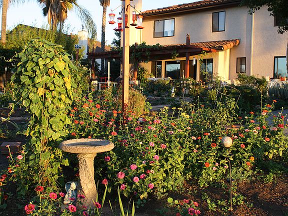 looking from garden house