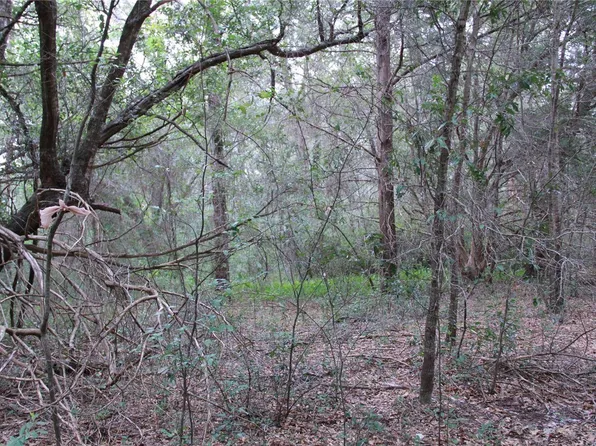 0 SW 32nd Pl Lot 20, Ocala, FL 34481