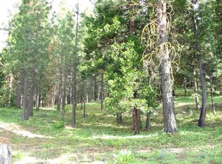 1345 Red Sky, Portola, CA 96122