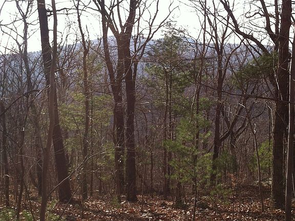 2nd image of 0 Pocosan Mountain Road