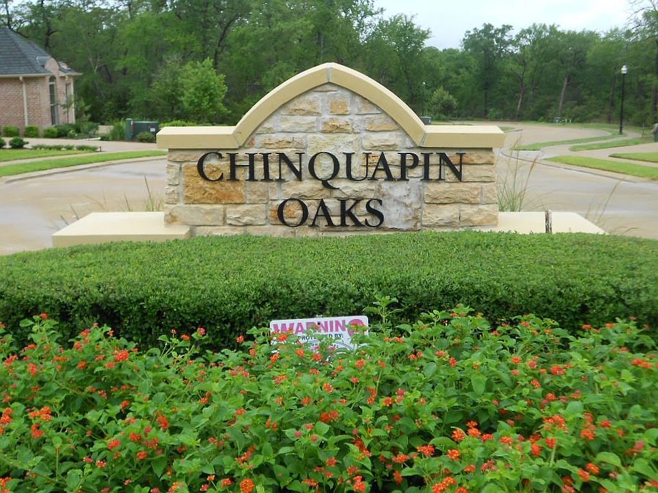 Chinquapin Oaks