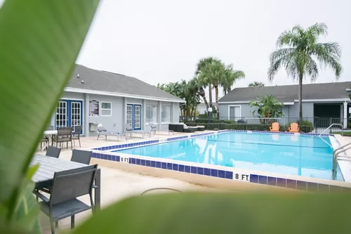 Pool - Palmview Cove Apartments