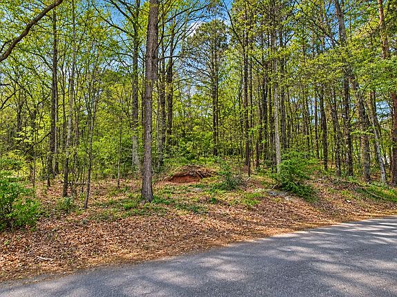 5th image of 0 Pearidge Rd