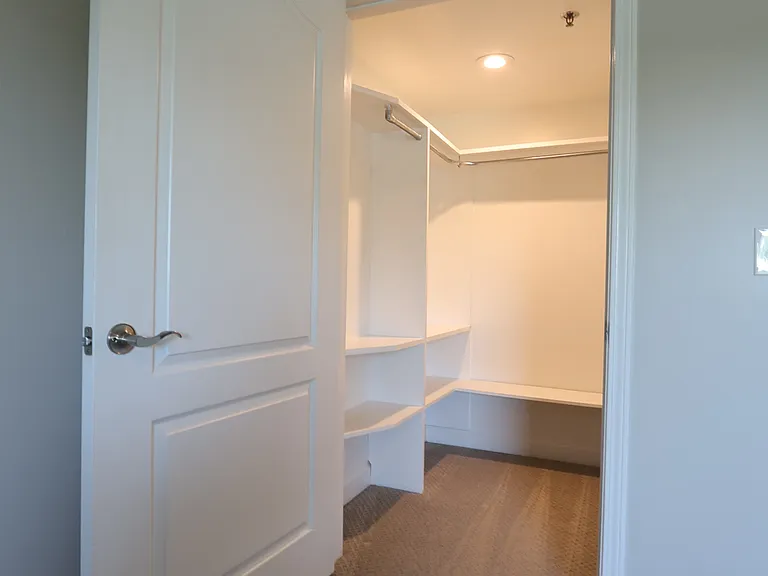 Downstairs Bedroom Walk-in Closet
