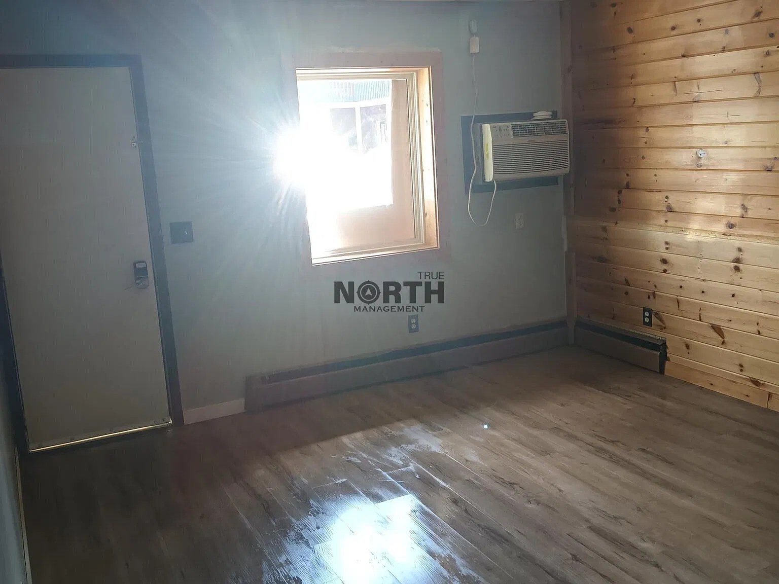 1 bed, $925 — Photo 3