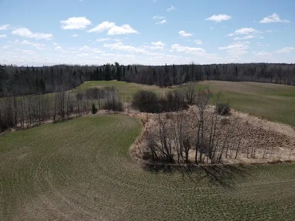 Alfalfa Dr NW, Shevlin, MN 56676