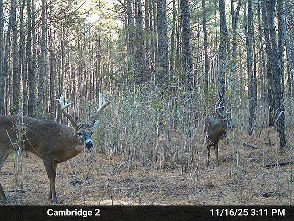 4th image of Hudson Rd