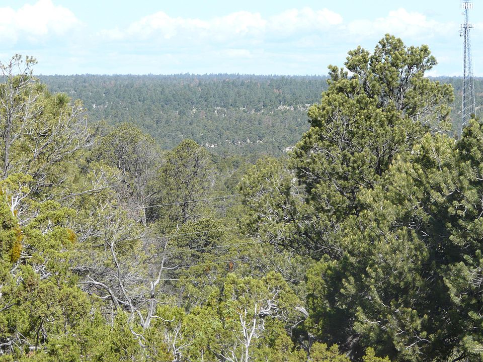 1st image of 3650 Green Forest Dr