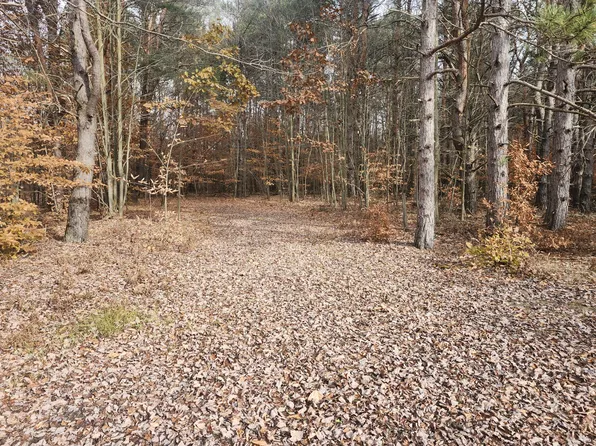 Vl 5 Acres 9 Mile Rd, Kaleva, MI 49645