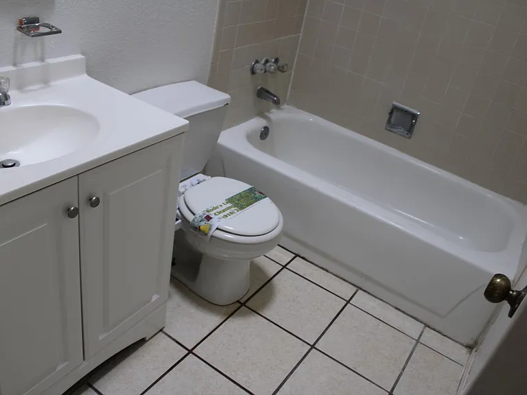 10736 Obsidian St — Photo 16