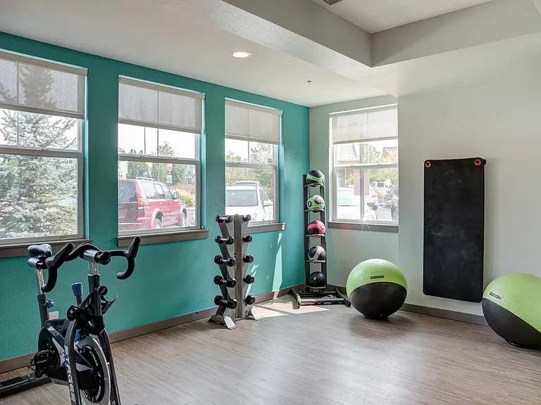 Avia Lowry's fitness center equipped with exercise machines, weights and a television.