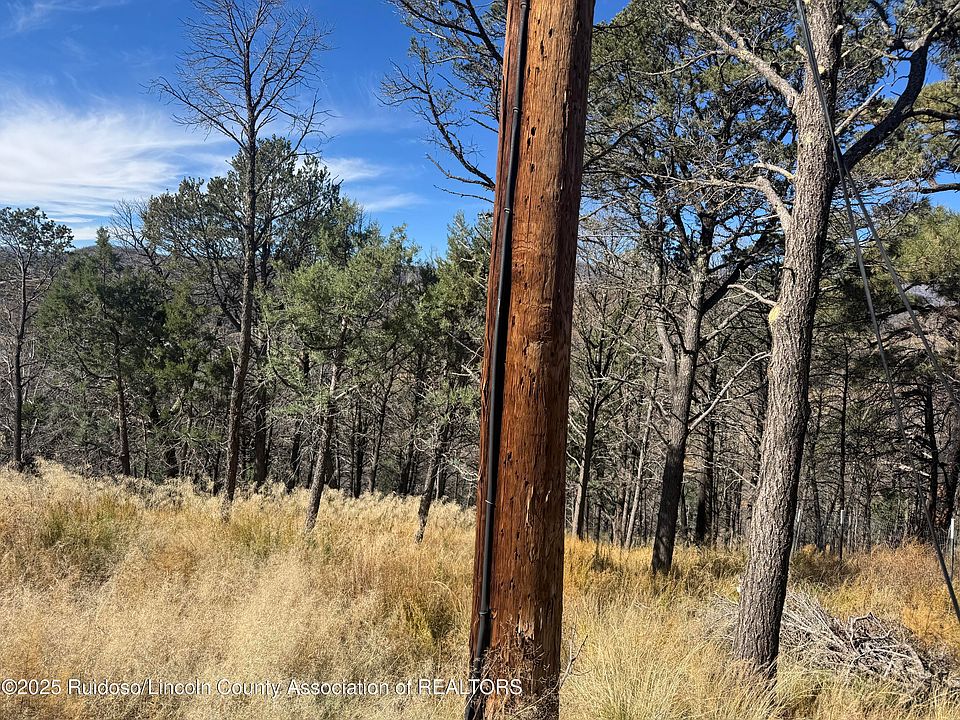 2nd image of Pine Shadow Trl