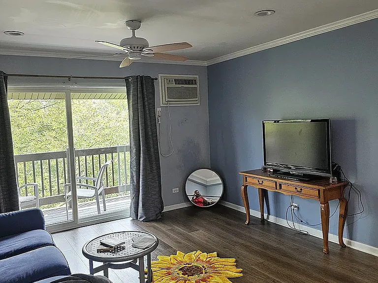 7723 Woodward Ave #1S — Photo 4