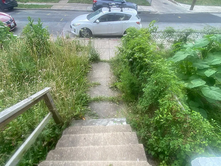 3505 Virginia Ave — Photo 25
