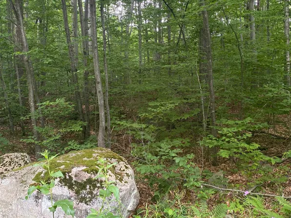 20 Forest Ridge Drive #14, Middlebury, VT 05753
