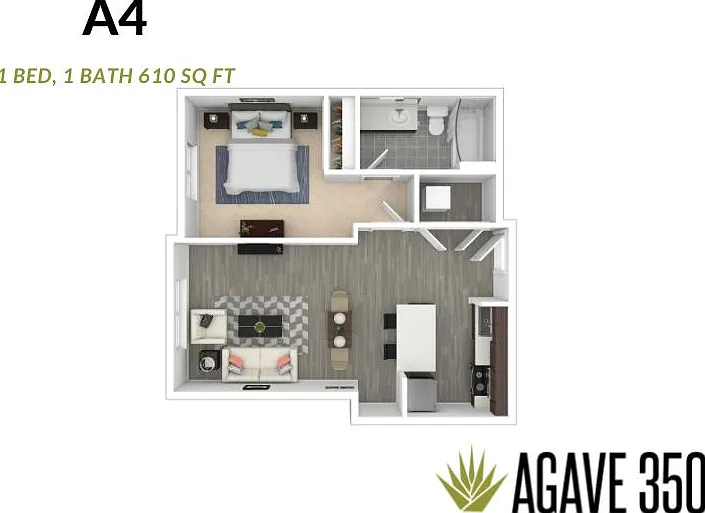 Agave 350 — Photo 46