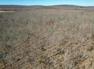 1074 Fawn Ln #1, Doe Run, MO 63637