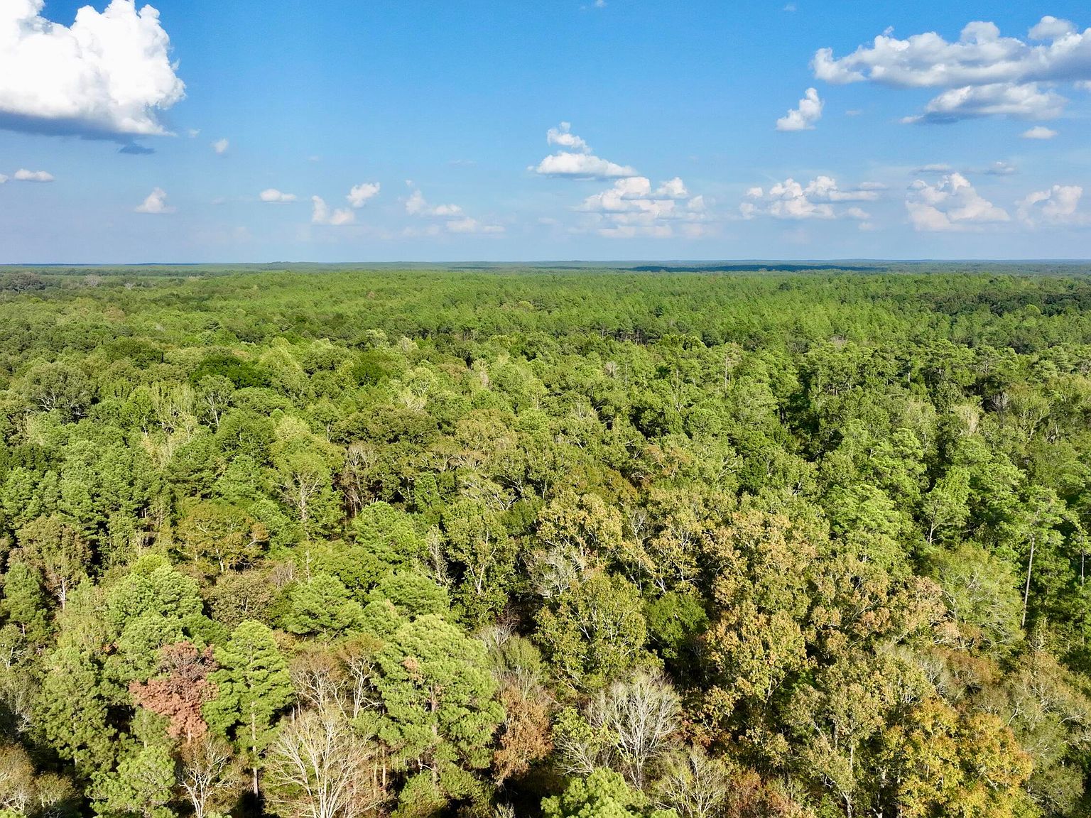 2 Natchez Trace Pkwy, Canton, MS 39046 Zillow