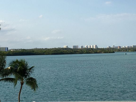 View from Unit