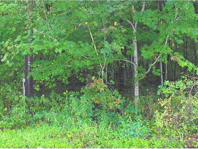2nd image of 1616 Woodland Lake Rd