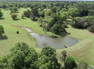 184 Bucks Rd, Paige, TX 78659