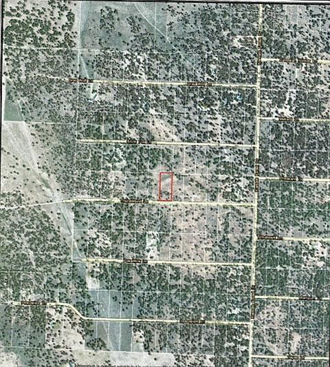 2nd image of 0 Thunderbird