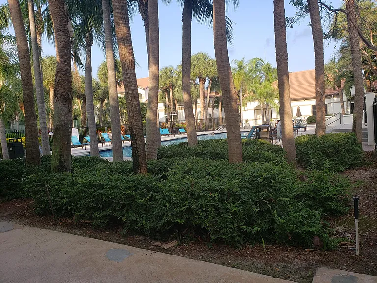 Hollywood Parc pool view from outside of pool enclosure.