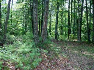 2439 Brushy Fork Rd, Head Waters, VA 24442