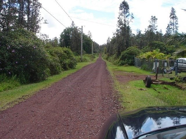 2nd image of Hibiscus Dr Lot 39