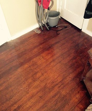 Maple hardwood floors