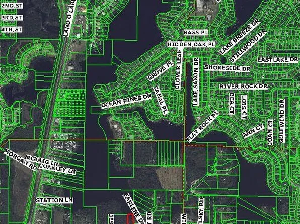 21720 Otis Way, Land O Lakes, FL 34639