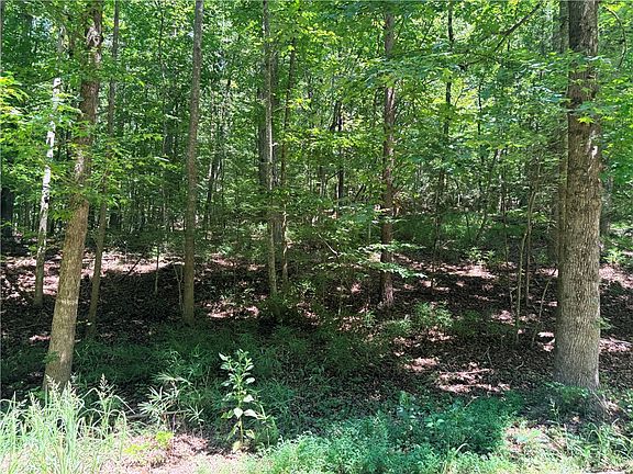 3rd image of LOT 2176 N Sundew Dr