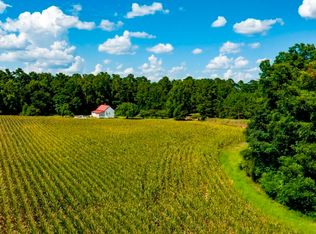 227 Barnes Nursery Rd, Bronwood, GA 39826