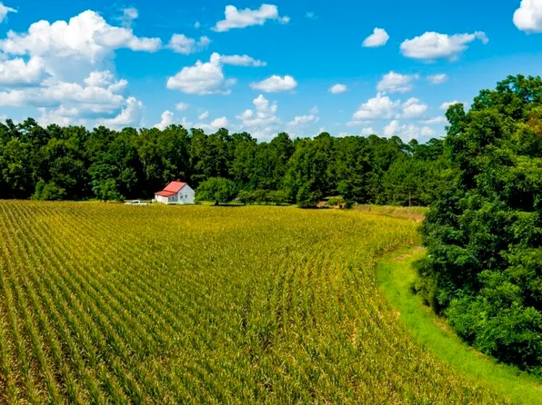 227 Barnes Nursery Rd, Bronwood, GA 39826