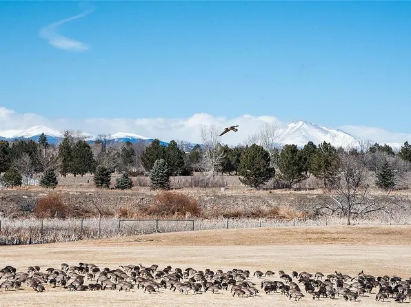 1009 Highland Park Dr, Broomfield, CO 80020