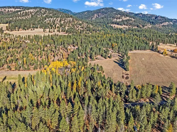 20 XX Addy Gifford Road Lot B, Addy, WA 99101