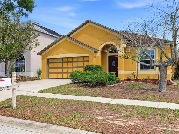 919 Grand Canyon Dr, Valrico, FL 33594