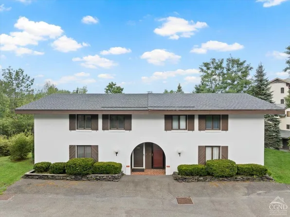 67 Clarence D Lane Road #1, Windham, NY 12496