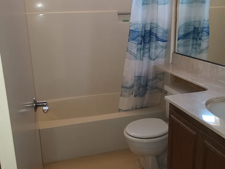 Hall bathroom