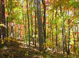Old Burnt Mountain Rd, Ellijay, GA 30536