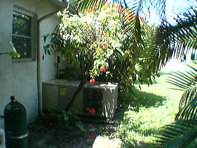 674 93rd Ave N — Photo 17