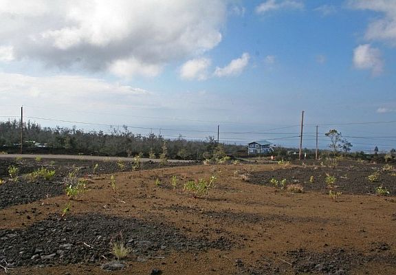 3rd image of Paradise Pkwy Lot 24