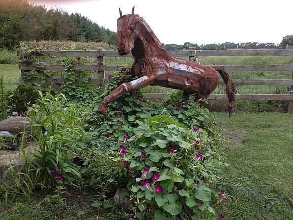 Bring your horse