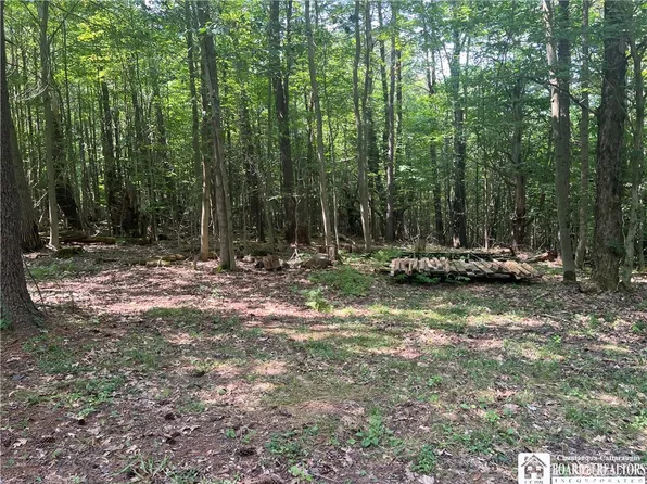 2630 Zimmer Rd #15, Friendship, NY 14739