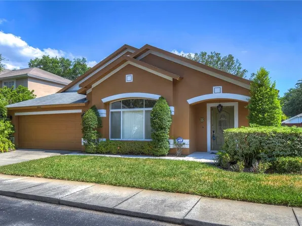 8858 Cypress Hammock Dr, Tampa, FL 33614