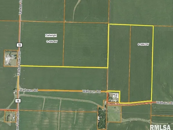 Walbaum Rd, Pleasant Plains, IL 62677