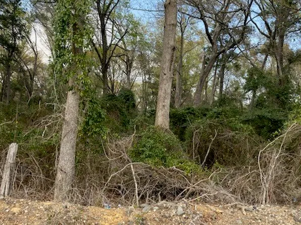 0 Twin Oaks Rd, Stonewall, LA 71078