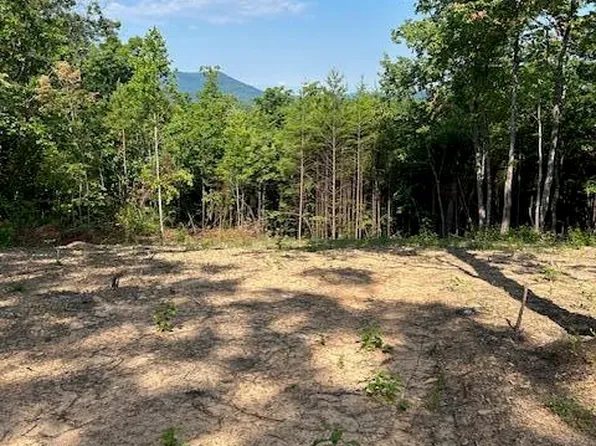 3 Mecca Pike, Tellico Plains, TN 37385