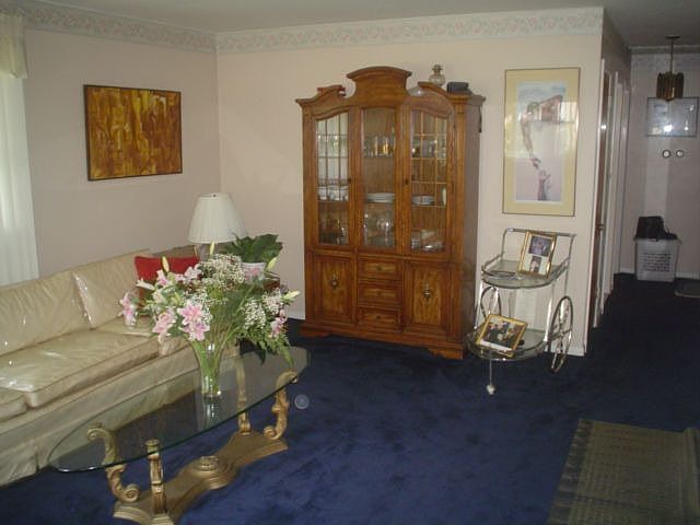 Living Room1