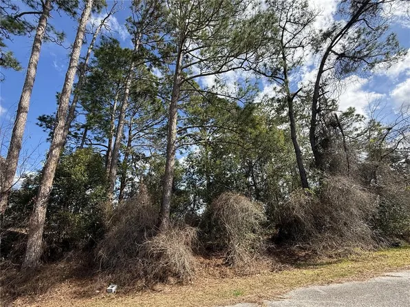 SE 190th Ave Lot 30, Silver Springs, FL 34488